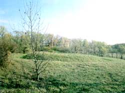 ������� � ����� ������� ��� ���������� � ��� ���������