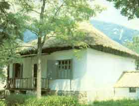 ������� �.�. �������